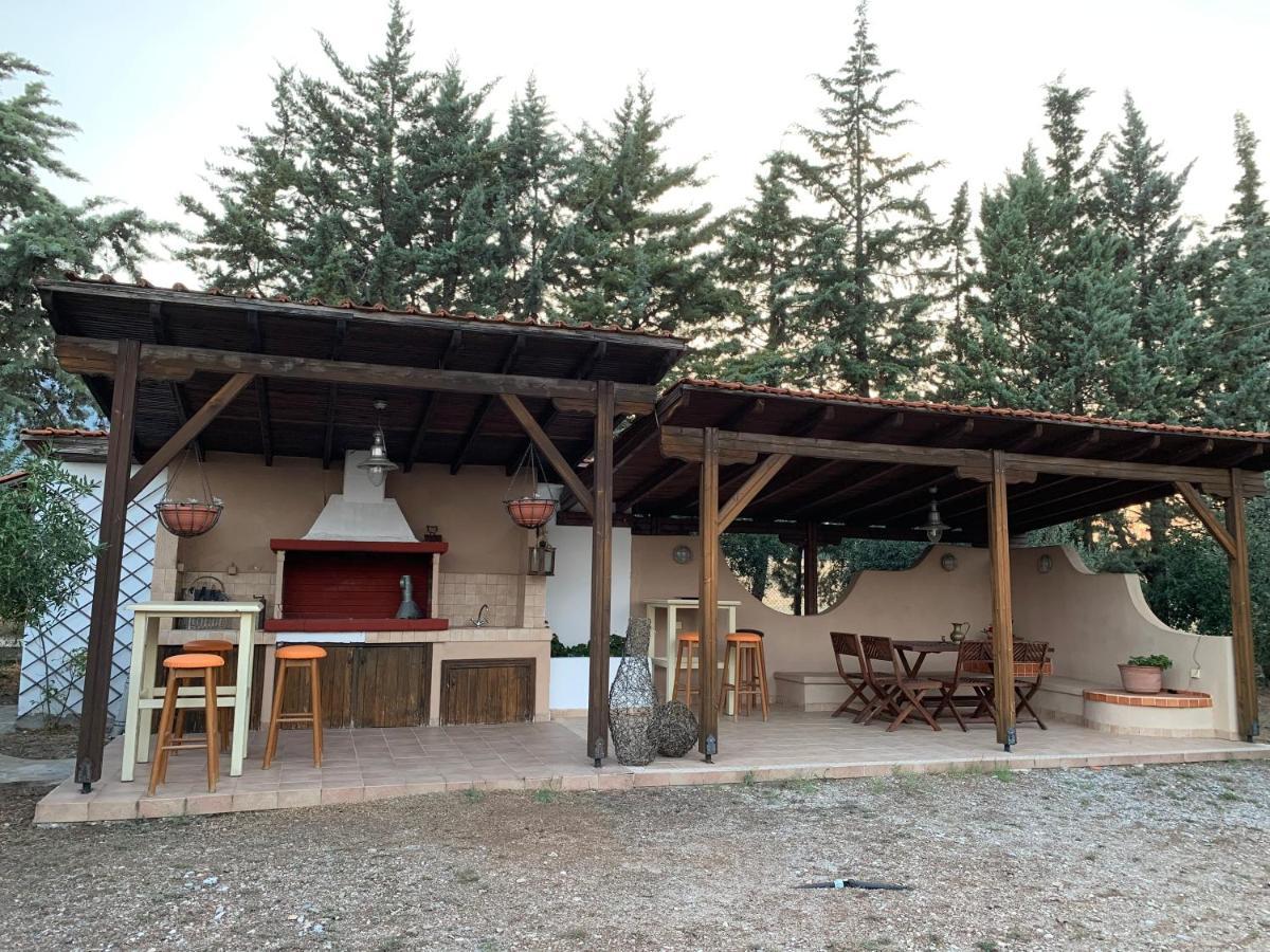 Vakantiehuis Zeusplace Olympus Olive 1 Leptokaryá