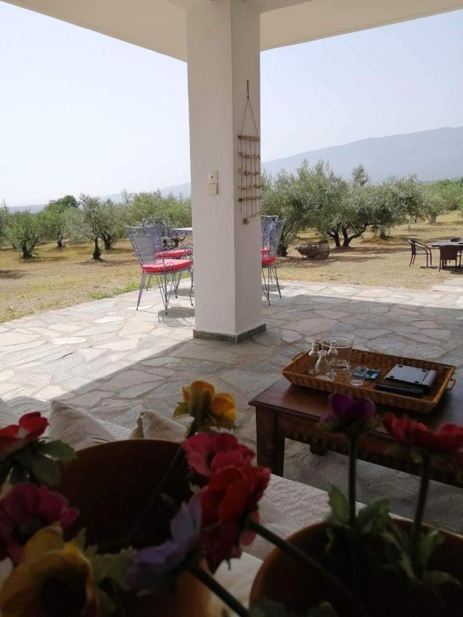 Vakantiehuis Zeusplace Olympus Olive 1 *