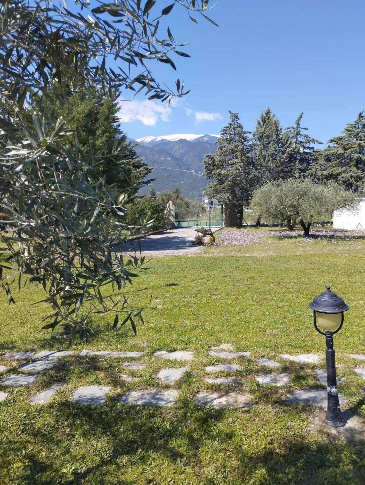 Vakantiehuis Zeusplace Olympus Olive 1 Leptokaryá