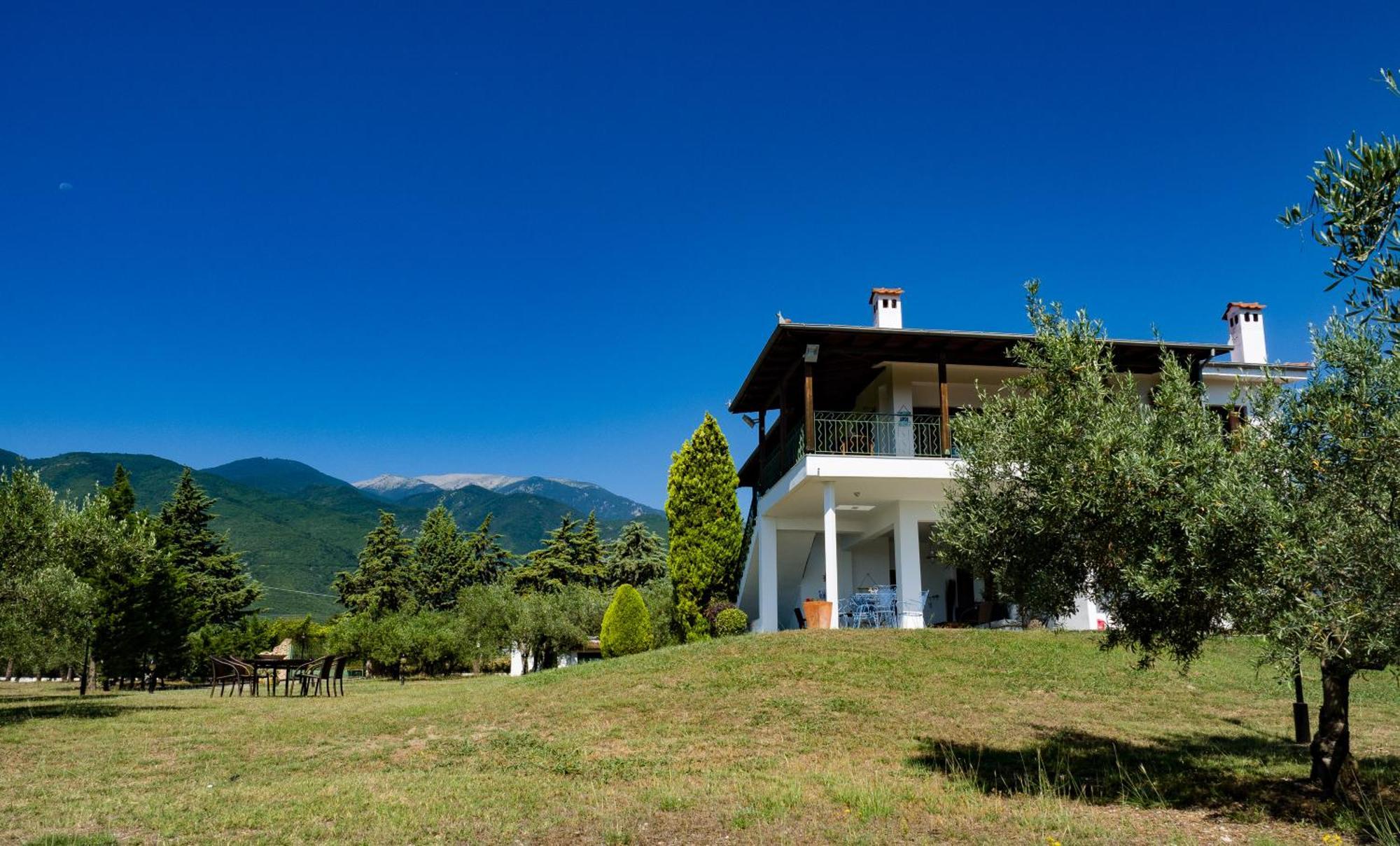 Vakantiehuis Zeusplace Olympus Olive 1 *